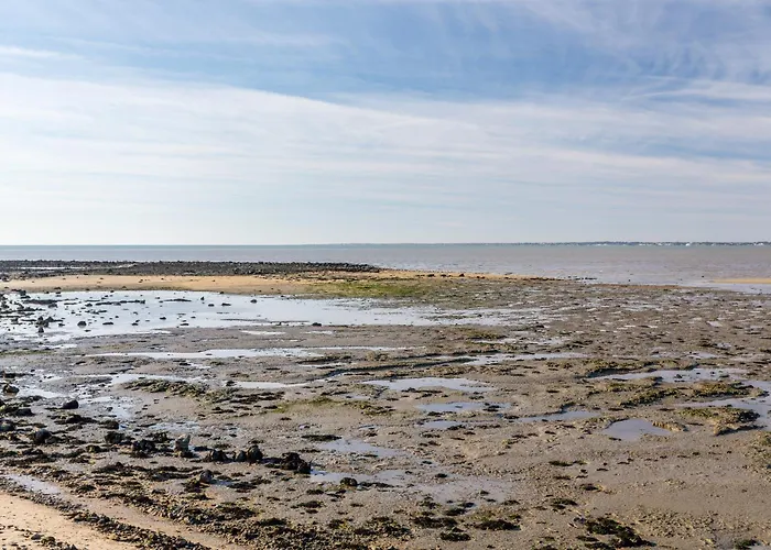 La Boussole Du Rivage