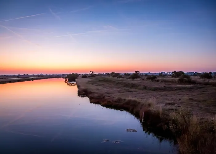 La Boussole Du Rivage * Les Bussolleries